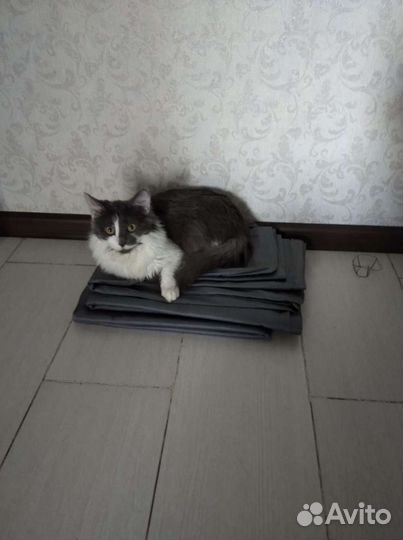 Милая девочка в добрые руки 7 мес