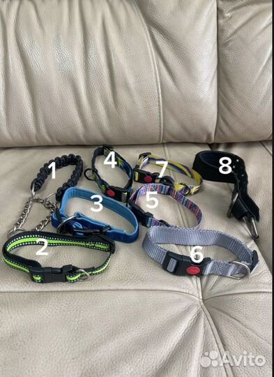 Ошейник и поводок для собак