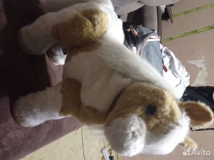 Пони Хасбро