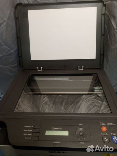 Принтер лазерный мфу samsung