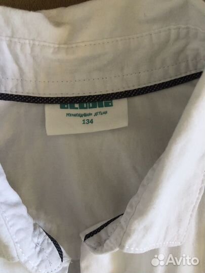 Рубашка Акула 134