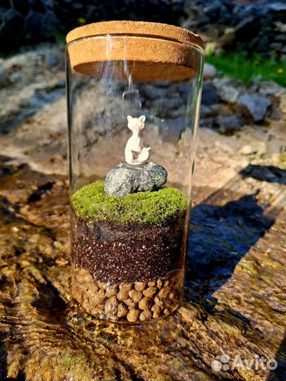 Флорариум Медитация/Зеленый чай