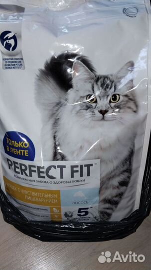 Корм для собак