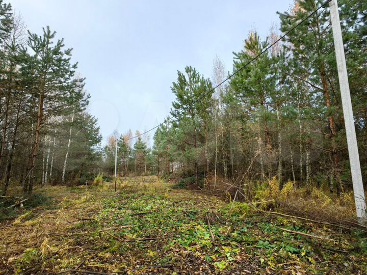 Участок 10 сот. (ИЖС)