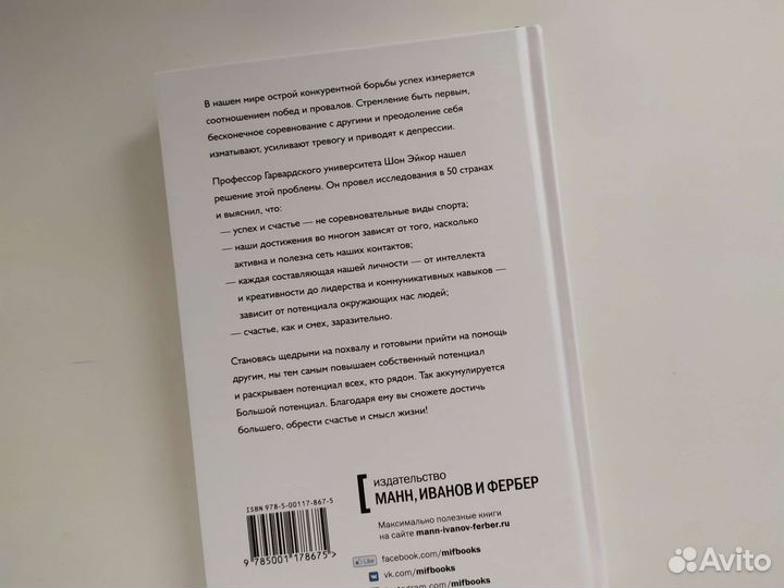 Книга Большой потенциал - Шон Эйкор