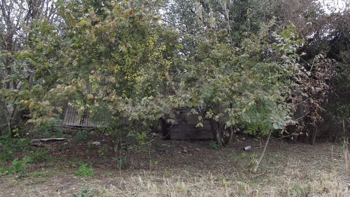 Участок 31 сот. (ИЖС)