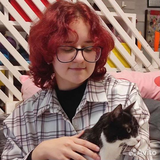 Репетитор по биологии огэ