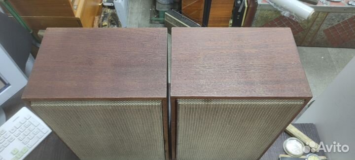 Акустическая система колонки маяк 10ас 318