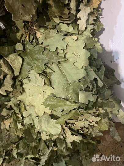 Дубовые веники для бани 2024г