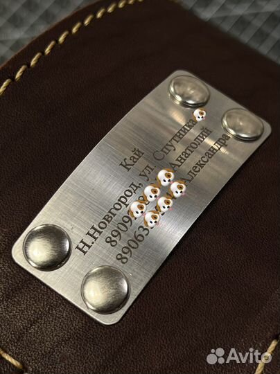 Ошейник для собак