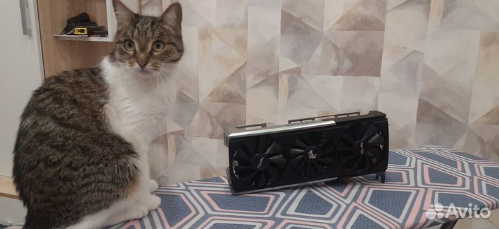 Radeon rx 5700 xt Sapphire Nitro