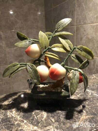 Декоративные деревья бонсай