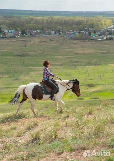 Конные прогулки. Походы. Активные выходные
