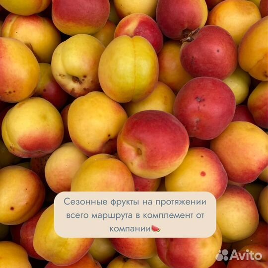 Туры по Дагестану
