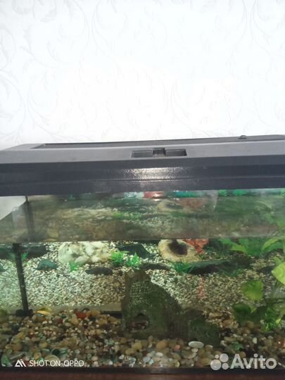 Аквариум 70 литров с подсветкой б/ у