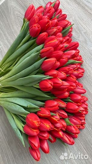 Тюльпаны к 8 марта оптом, букеты