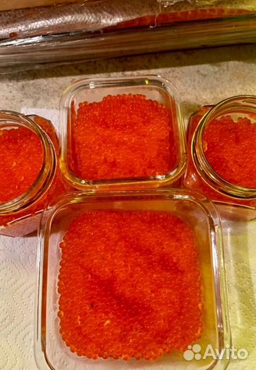 Форель свежая из Карелии (Опт От 20 кг)