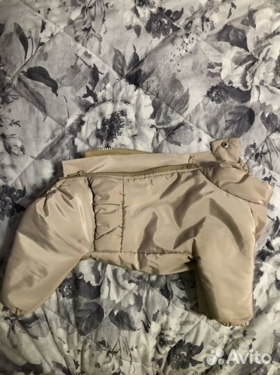 Одежда для собак