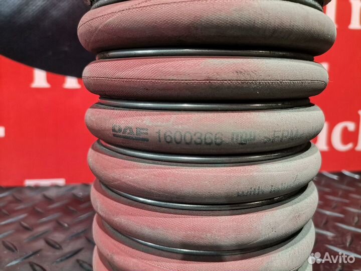 Патрубок интеркулера Daf CF, Daf XF105