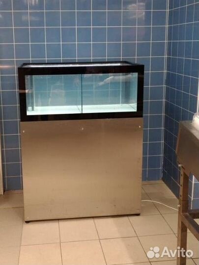 Аквариум для устриц и живых морепродуктов