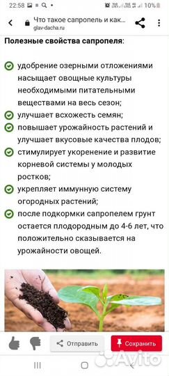Сапропель озерный удобрение