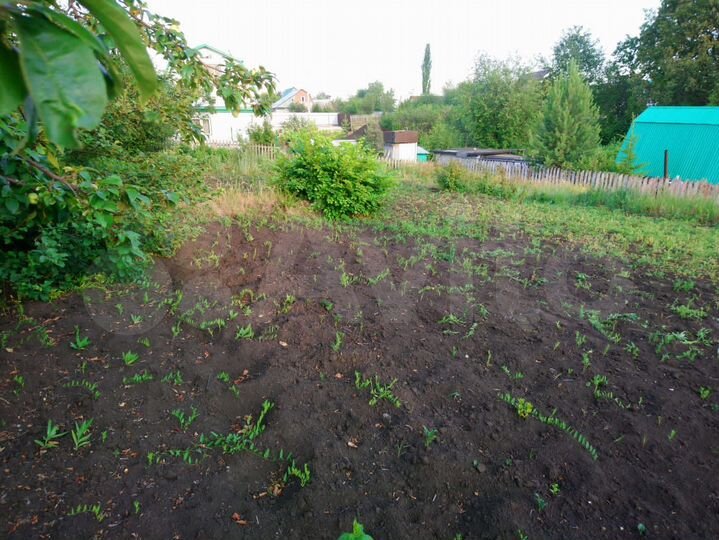 Участок 6 сот. (СНТ, ДНП)