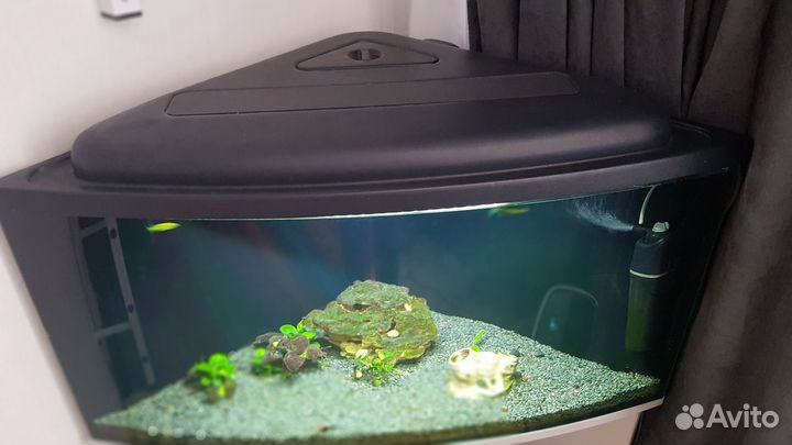 Аквариум для рыбок угловой