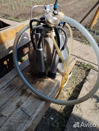 Доильный аппарат для коров бу