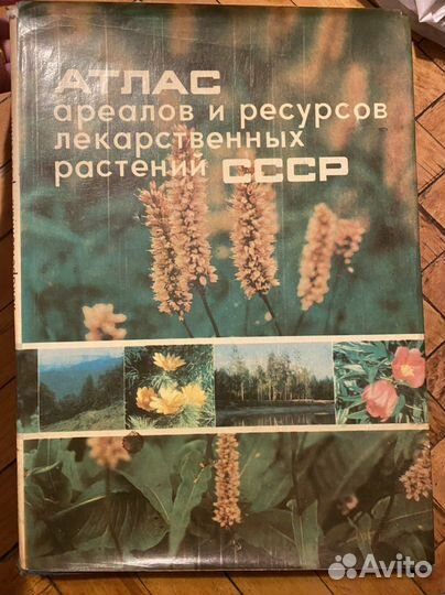 Атлас ареалов и ресурсов лекарственных растений