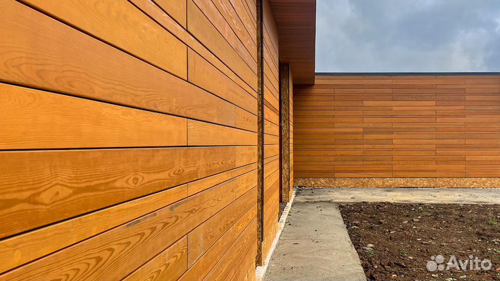 Планкен термососна