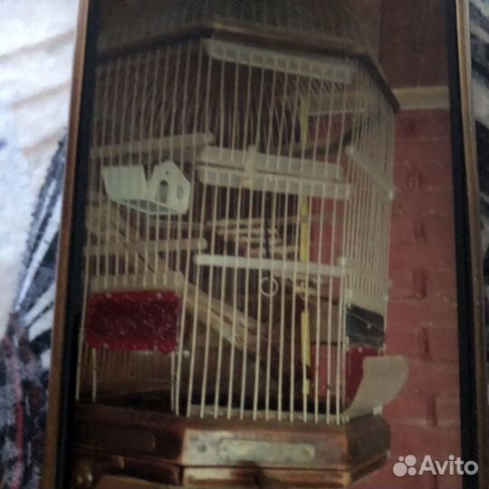 Старинная клетка для крупных птиц или животных