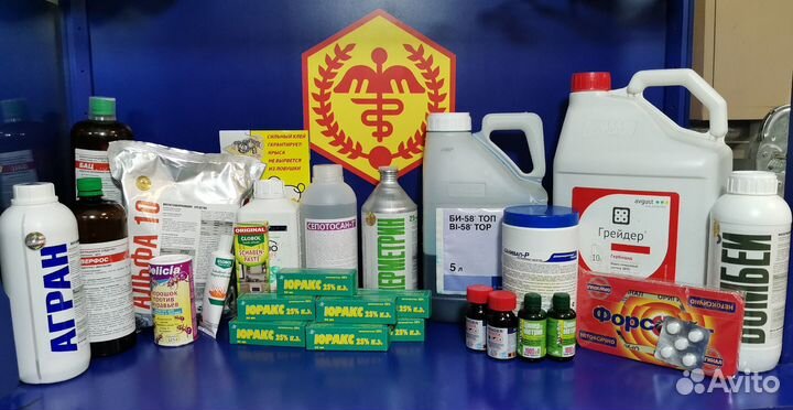 Уничтожение клопов тараканов плесени. Дезинфекция