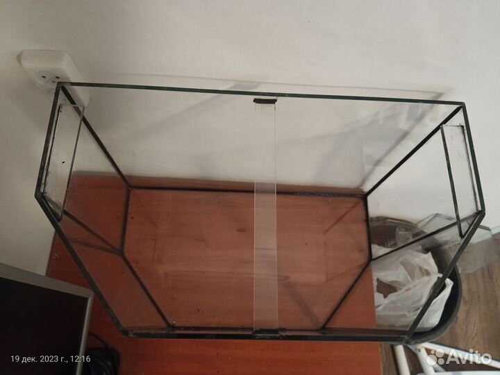 Аквариумные рыбки