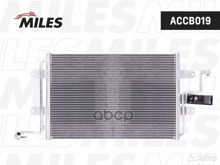 Accb019 accb019 Miles