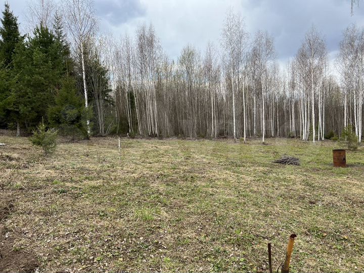 Участок 25 сот. (СНТ, ДНП)