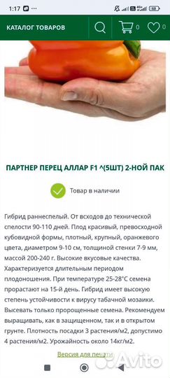 Перец болгарский рассада