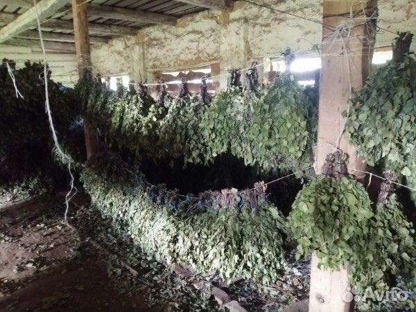 Веники для бани