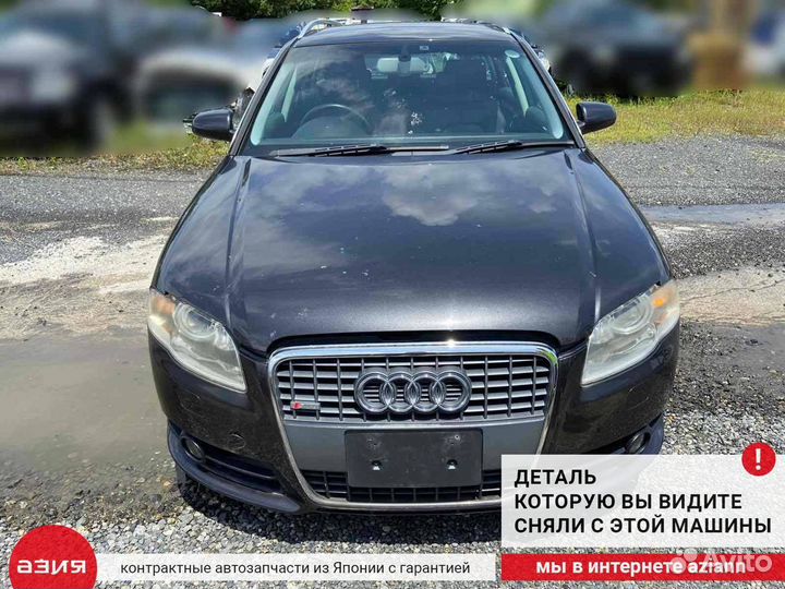 Петля двери багажника (комплект) задняя Audi A4 8E