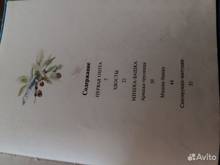 Мишка-башка В. Бианки