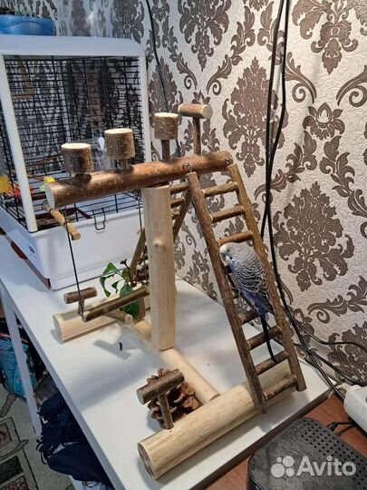 Игровые стенды, площадки для попугаев