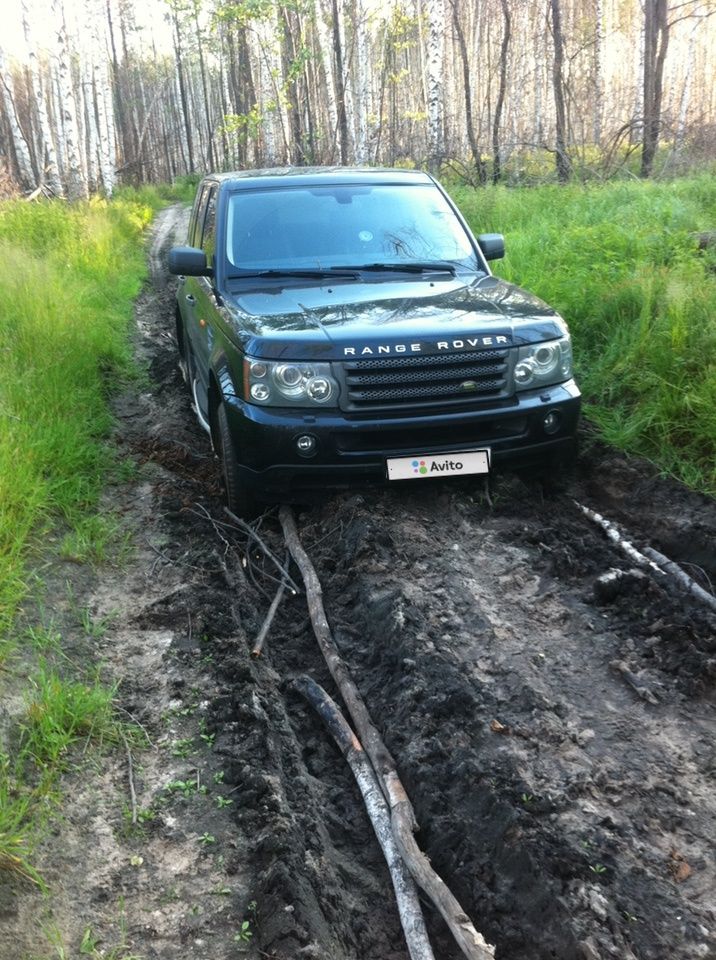 Land Rover Range Rover Sport: фото владельца