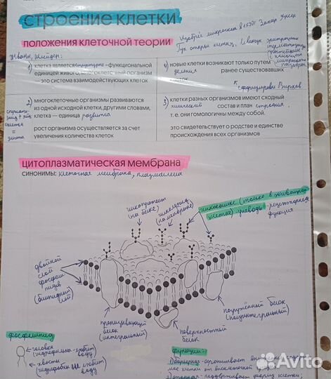 Курсы по подготовке к егэ по биологии