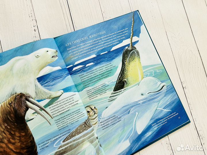 Дикий холод (Гудвин)