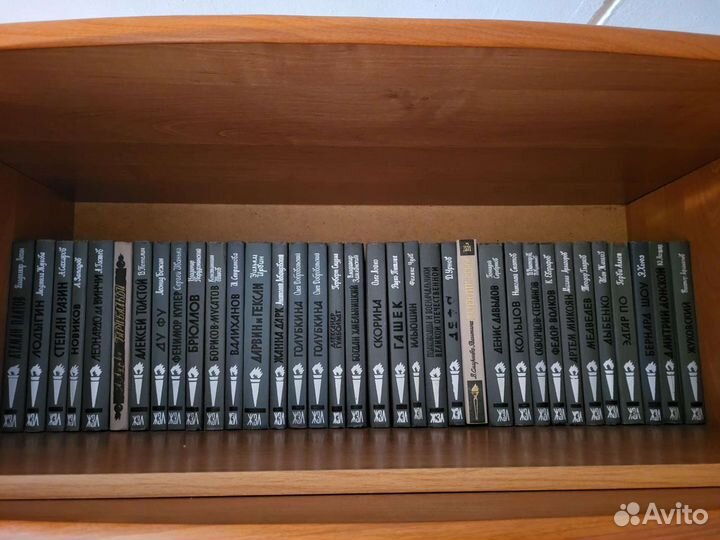 Жзл 46 кн.,Жизнь Ренуара Анри Перрюшо