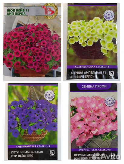 Петунья тайдал