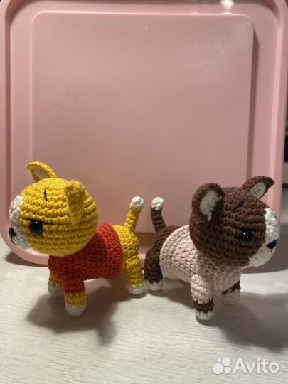 Собачки Чихуахуа