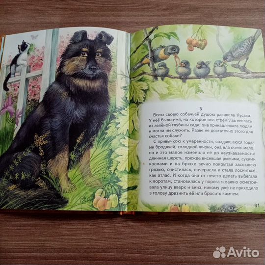 Большая собачья книга