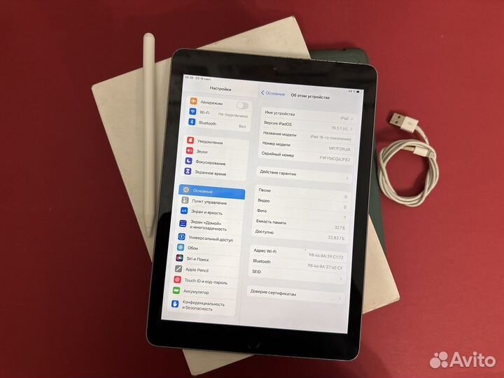 iPad + Стилус. Идеален для рисования