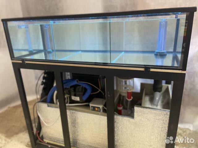 Аквариум для устриц в наличии