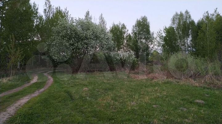 Участок 12 га (СНТ, ДНП)